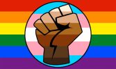 1280px-LGBT_Gay_Trans_Pride_BLM_Fist_Flag-3341507148
